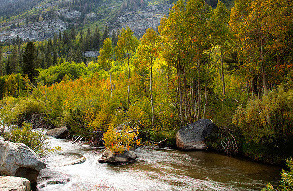 Fall Colors are Coming