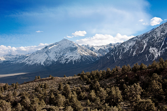 Mt Tom From Sherwin Grade