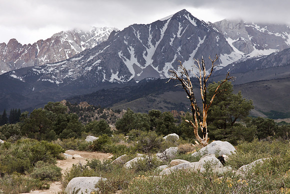 Buttermilk,West of Bishop,Ca