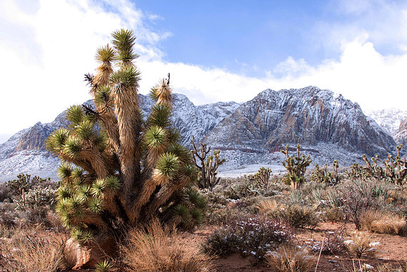 Red Rock, Las Vegas